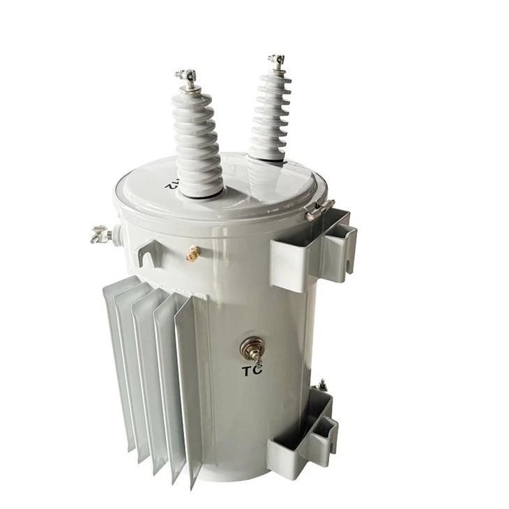 75 KVA Transformer Power Lines-13.8/0.12*0.24 KV | Guyana 2024 factory